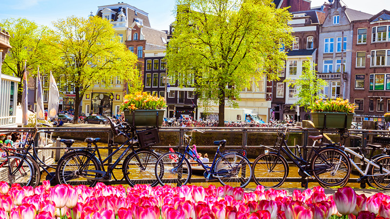 Besg Amsterdam i Holland med Kulturrejser